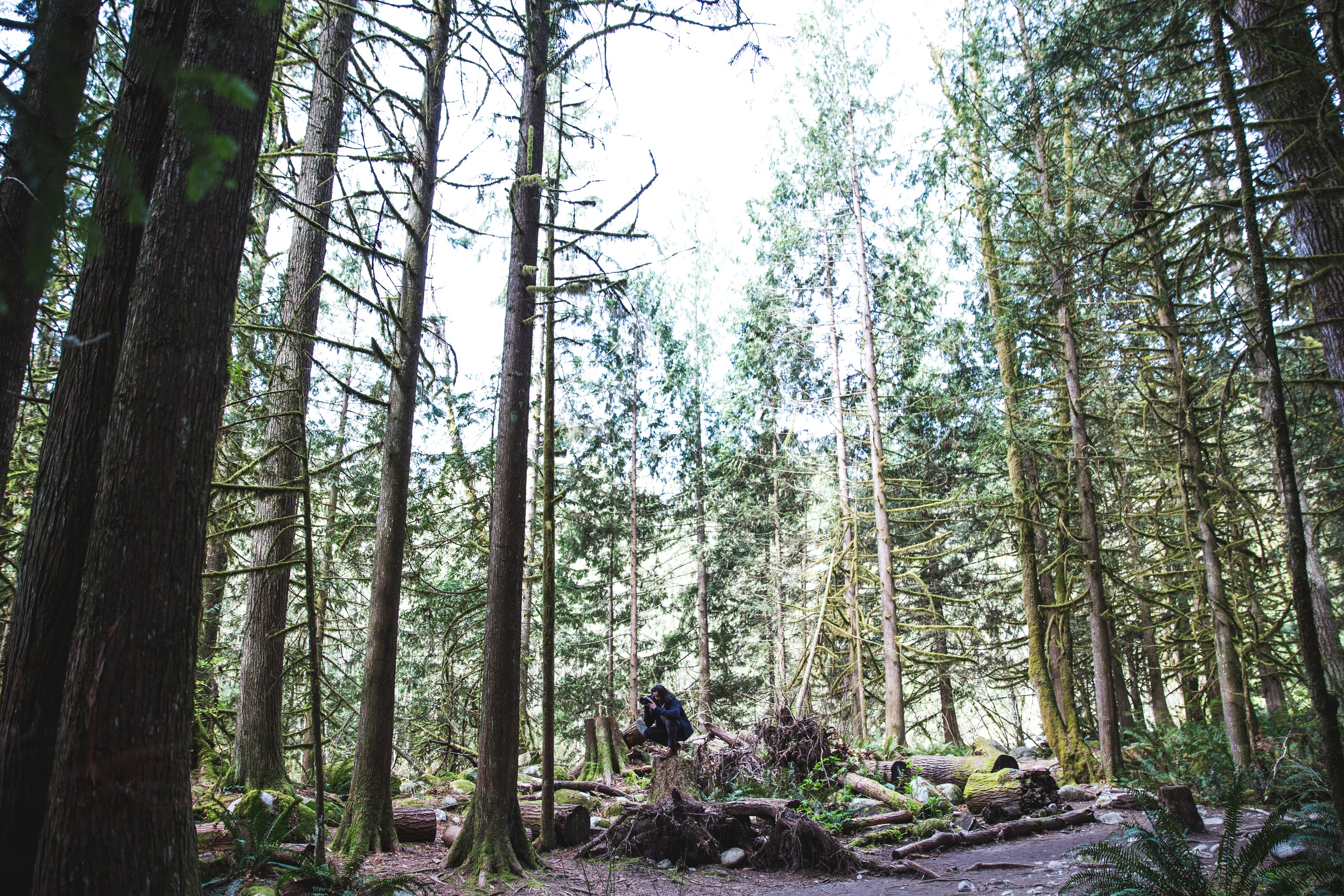 A nature photographer capturing the pristine environment protected by Yelloc’s leak-proof solutions